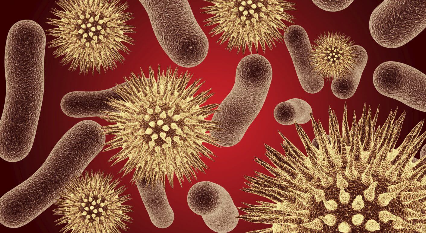 bacteria